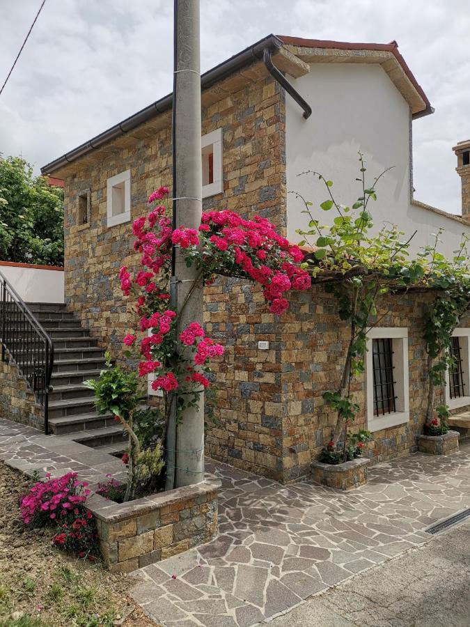 Kmetija Jogan, Wines & Apartments Pobegi Exterior photo